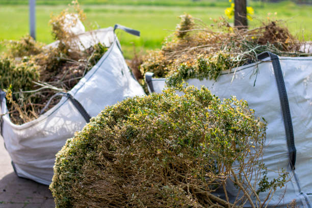 Best Mattress Removal Service  in Montrose, MI